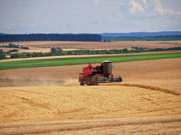 Kwalifikacje rolnicze – czy są potrzebne? Jak je zdobyć?